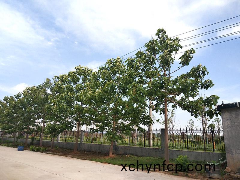 濟寧市大(da)氣環境質量(liang)2015年(nian)12月(yue)份13縣市(shi)區排名