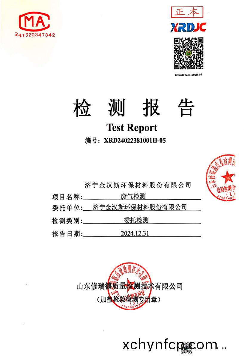 檢測(ce)報(bao)告(gao)（2024.12.31）