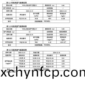 檢測報告(gao)(2024.12.31)