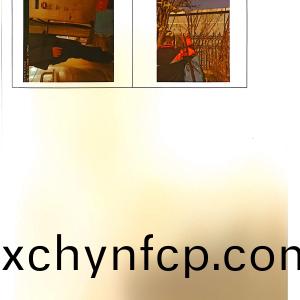 檢測報(bao)告(gao)(2024.12.31)